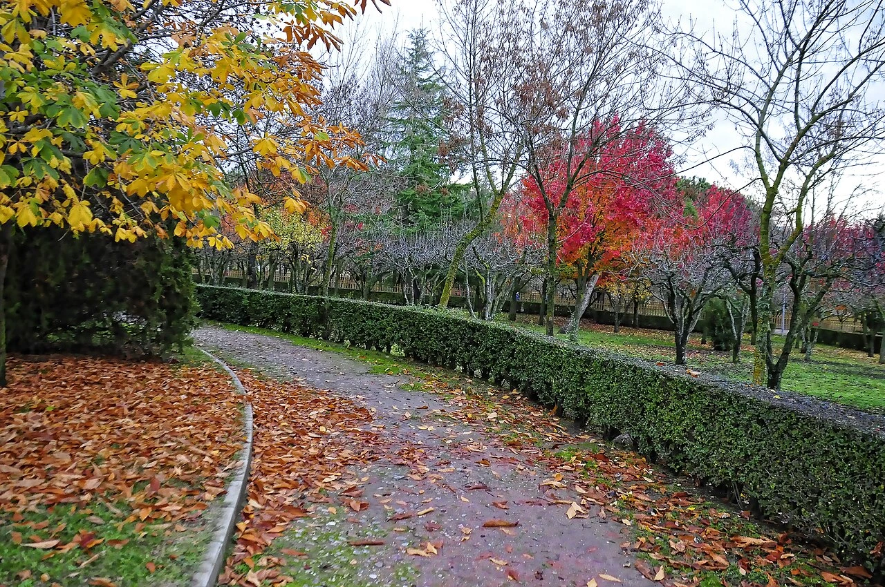 Les expressions espagnoles d'automne à connaître